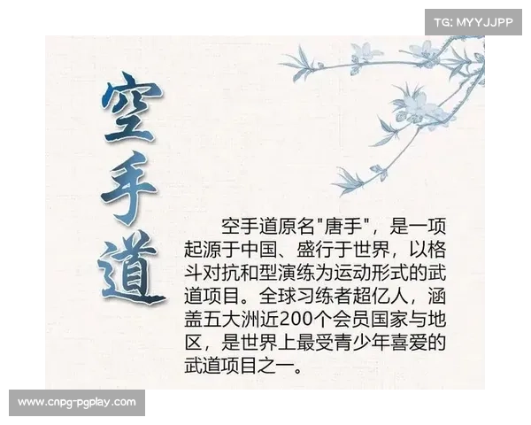 空手道产业规模突破120亿 青少年会员占比超60%引领新兴业态发展 空手道产业规模突破120亿 青少年会员占比超60%引领新兴业态发展